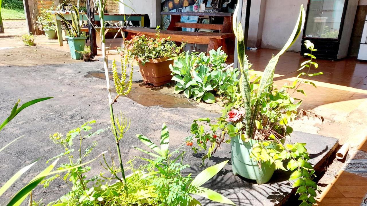 Hostal Sol Iguazu Puerto Iguazú Eksteriør billede