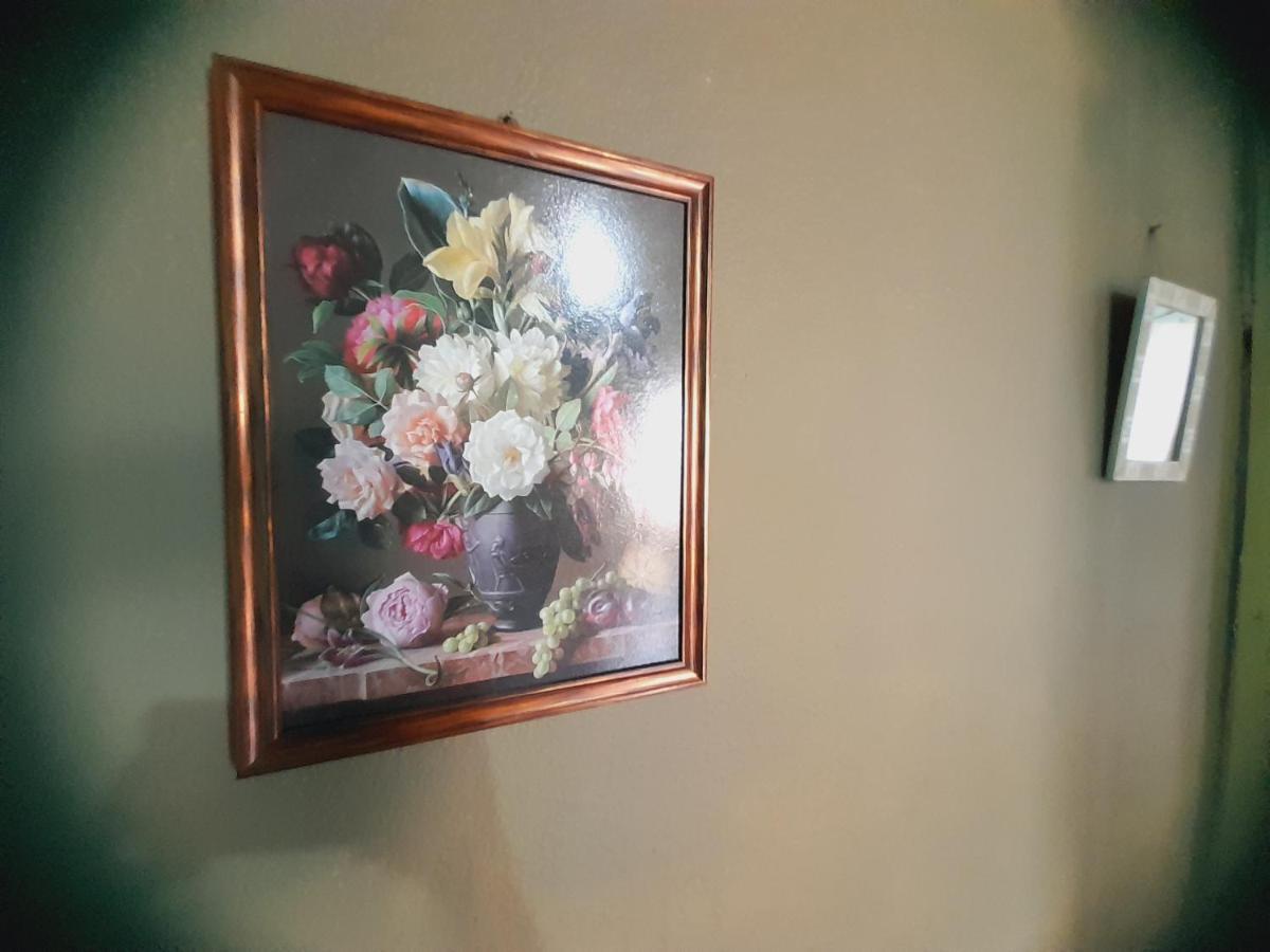 Hostal Sol Iguazu Puerto Iguazú Eksteriør billede